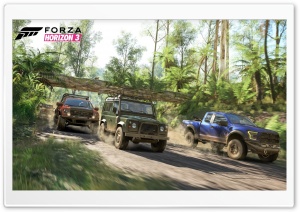 Forza Horizon 3 Race