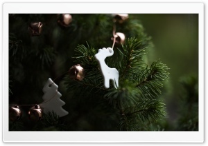 Christmas Tree Decoration Macro