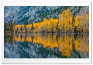 Fall Reflection, Silver Lake,...
