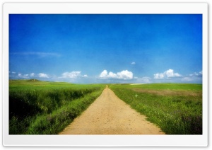 Beautiful Path - Grass Fields