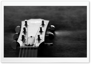 Guitar Head Monochrome