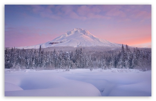 Download Winter, Nature UltraHD Wallpaper