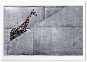 Giraffe Climbing Stairs
