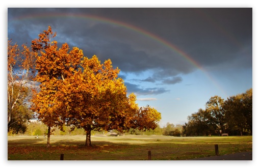 Download Double Rainbow UltraHD Wallpaper