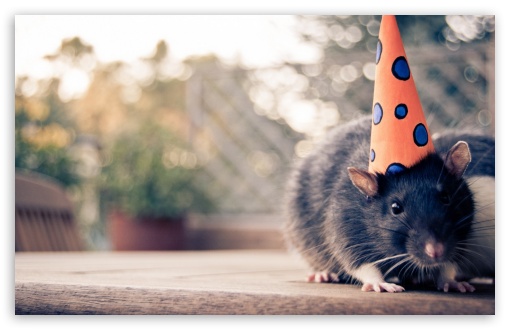 Download Happy Birthday Mouse UltraHD Wallpaper