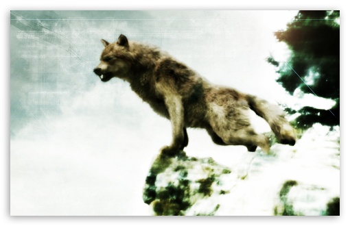 Download Jacob Black - Werewolf Form UltraHD Wallpaper