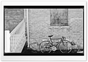 Bicycle Black & White