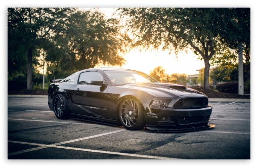 Download Black Mustang Car UltraHD Wallpaper