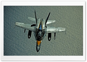 Hornet F182