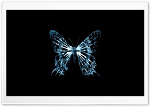 Butterfly X Ray
