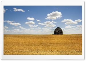 Hut In Open Field