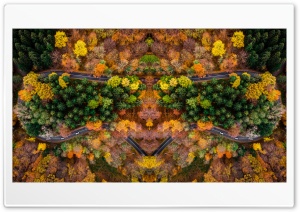 Autumn Symetric Drone Shot
