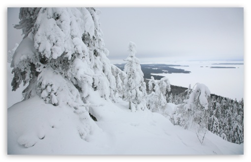 Download Mountain Forest, Winter UltraHD Wallpaper