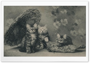 Cute Kittens Vintage