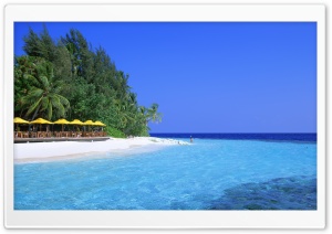 Tropical Resort Island