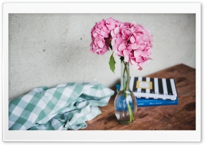 Pink Hydrangea Flowers in...