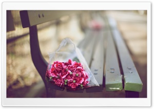 Carnations Bouquet On A Bench