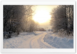 Snowy Country Road Winter