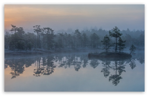 Download Bog, Morning Mist, Estonia, Water,... UltraHD Wallpaper