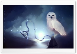 White Owl Painting
