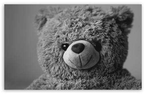 Download Teddy Bear UltraHD Wallpaper