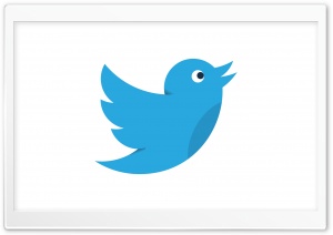 Twitter Bird Social Media