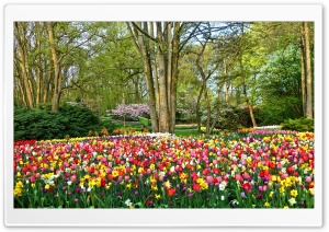 Spring Gardens in Holland