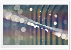 Wet Metalic Fence, Bokeh