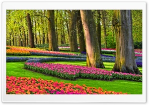 Colorful Spring Gardens,...