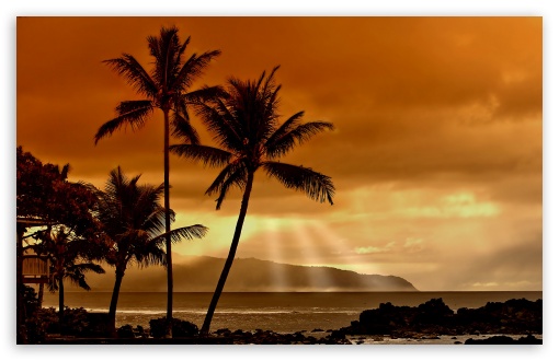 Download Sunset In The Tropics UltraHD Wallpaper