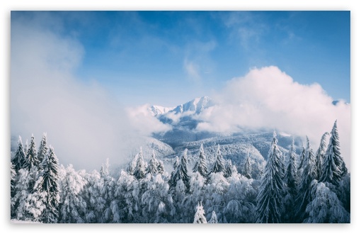 Download Mountain Landscape Winter UltraHD Wallpaper