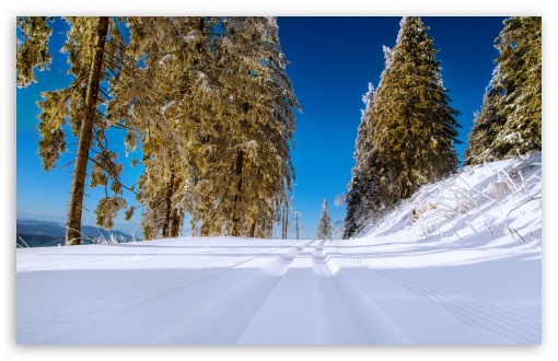 Download Winter Snowy Road Scenery UltraHD Wallpaper