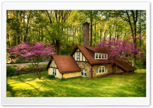 Beautiful Forest House, Spring