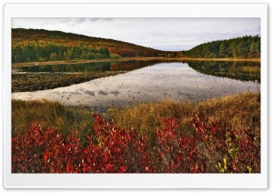 Breakneck Pond, Acadia...