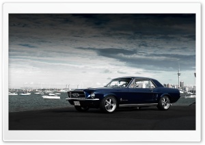 Classic Mustang Car