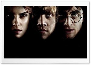 Hermione, Ron And Harry Potter