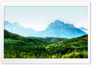 Mountain Forest Tilt-Shift