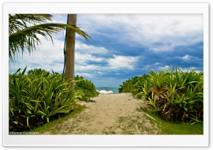 Guaecá Beach