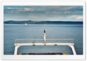Istanbul Ferry Seagull