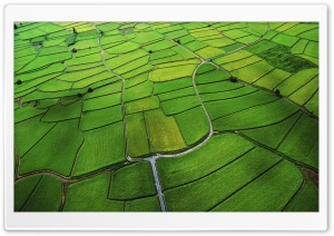 Green Field Aerial View