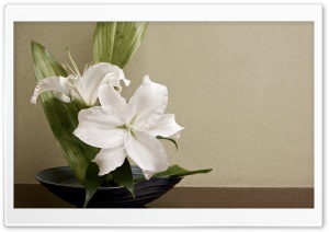 White Lilies Arrangement
