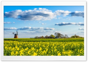 Old Windmill