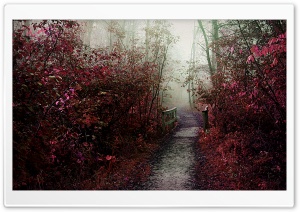 Autumn Mist Path