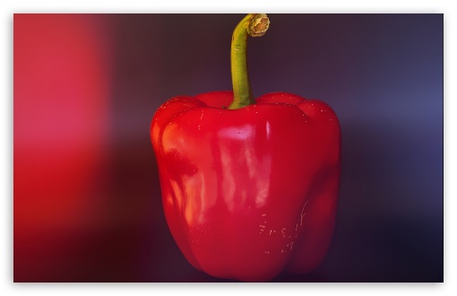 Download Red Pepper UltraHD Wallpaper