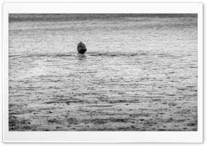 Swimming in the Rain