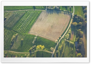 Orchards, Agriculture Field...