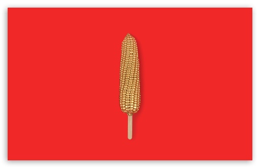 Download Golden Corn Stick UltraHD Wallpaper