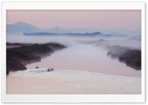 Ducks On A Foggy Morning