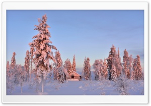 Wooden House In Winter Forest