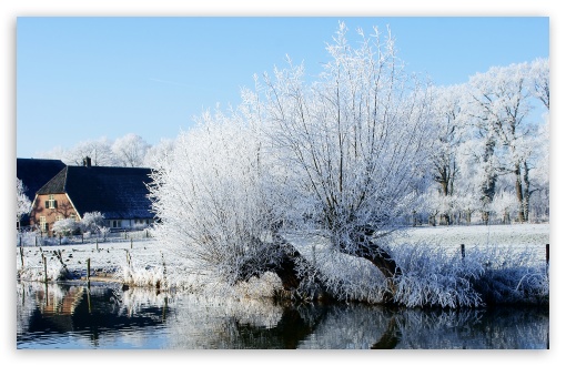 Download White Trees Along The Kromme Rijn River UltraHD Wallpaper